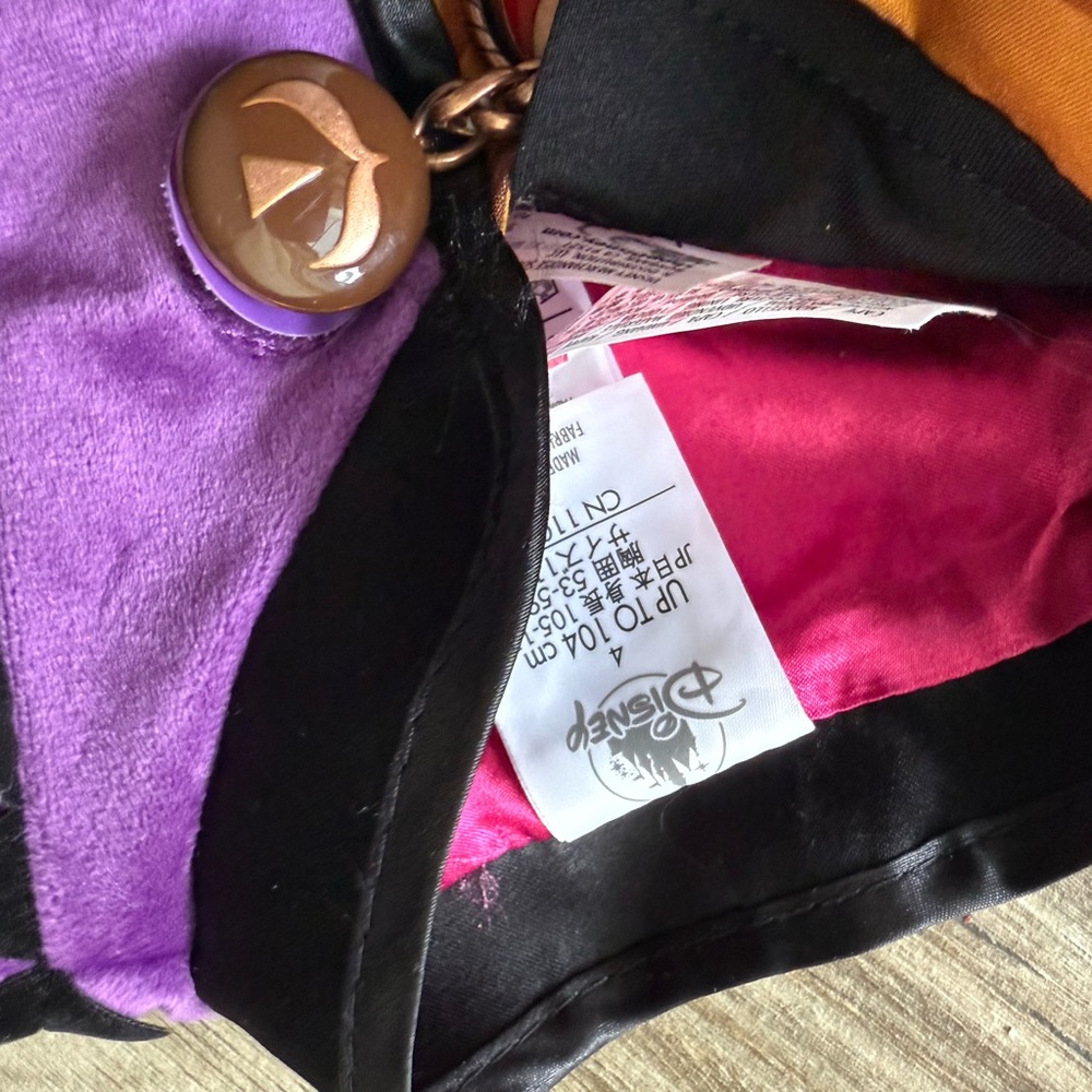 Disney Frozen Anna Costume ( traveling costume) - Picture 4 of 7